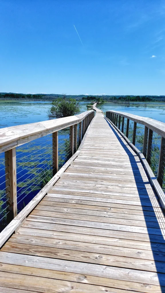 The Arcadia Marsh Boardwalk offers a quiet path through one of Michigan’s beautiful wetland habitats. Credit: u/sahm85 via r/Michigan
